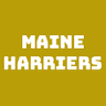 Maine Harriers