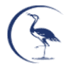 Crane Physical Therapy