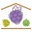 Maison Lorraine de Polyculture