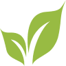 Mais Raiz Produtos Naturais