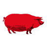 Makkila