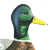 Mallard Insurance