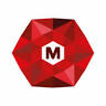 MAMS® Computers