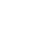 VERIFICACION POLICIAL DEL AUTOMOTOR
