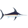 Manicsportfishing Charters