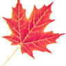 Mansion House Maple Syrup