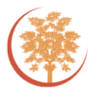 Maple Carpentry (UK) Ltd