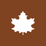 S Todd Comm, DDS, Inc. (Now Maple Leaf Dental, Inc.)