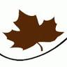 Maple Tree Medical Clinic