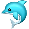Marco Island Dolphin Tour - (239) 260-0512