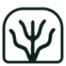 Marfa Realty