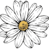 Marguerite Tea+Cakes.