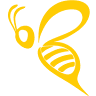 Pasieka Markabee