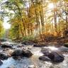 Martin Stream Campground