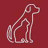 Martinsville Veterinary Hospital: Naulty Robin P DVM