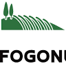 Mas Fogonussa