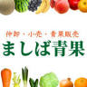 間柴青果