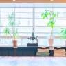 横浜マッセレンタルスタジオ Yokohama Masse Rental Studio