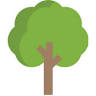 Forest Insurance Center