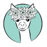 Maui Alpaca