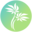 CookKwee's Maui Cookies