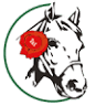 Mayo Horse Comfort