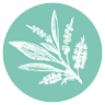 MAIN CAMP NATURAL EXTRACTS PTY LTD