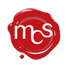 Meritocracy Consultancy Services