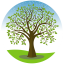 Meadows Life Chiropractic Health & Wellness Centre