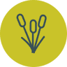 Arthurs Restaurant & Bar