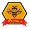 Medana