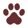 Medway Animal Hospital: Olsen Elizabeth DVM