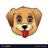 Melbourne Animal Hospital: Bond Nikki DVM