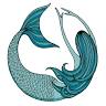 Mermaid Tales Bookshop