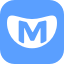 METAR Reader