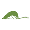 Methow Conservancy