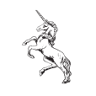 Metrax-craye
