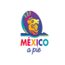 Meeting Point Mexico a Pie