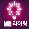산본문화조명