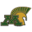 Mayo High School