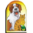 Miami Animal Hospital: Yull Armando DVM