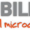 MICROBILBAO artesanos del microcemento