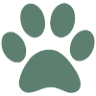 Animal Vaccination Service