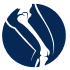 Dr Matthew Broadhead - Mid North Coast Hip & Knee Clinic