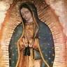 Mi Guadalupana Botánica