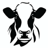 Milkhaus Dairy