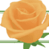 Minaye Flowers Awash