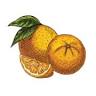 Mineral King Produce