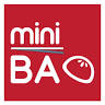 mini BAO