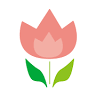 Minori Nursery